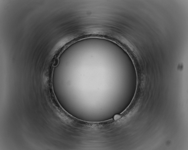 X0000101400922200807141153