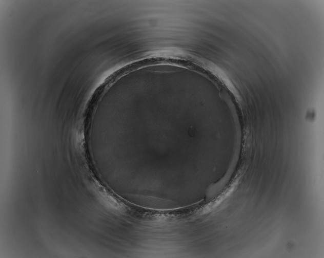 X0000101400923200807141153