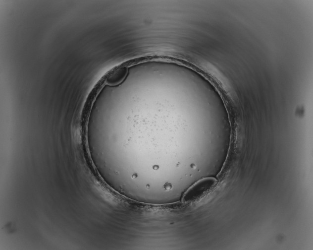 X0000101400924200807141153