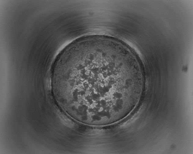 X0000101400925200807141153