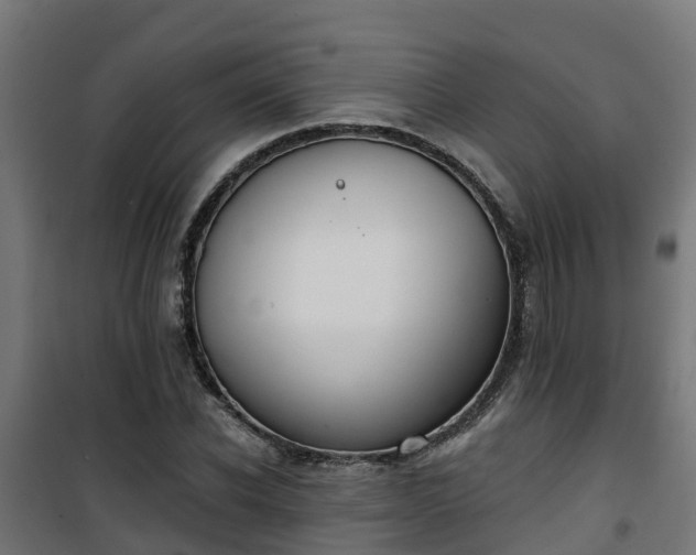 X0000101400926200807141153