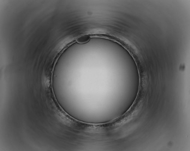 X0000101400929200807141153