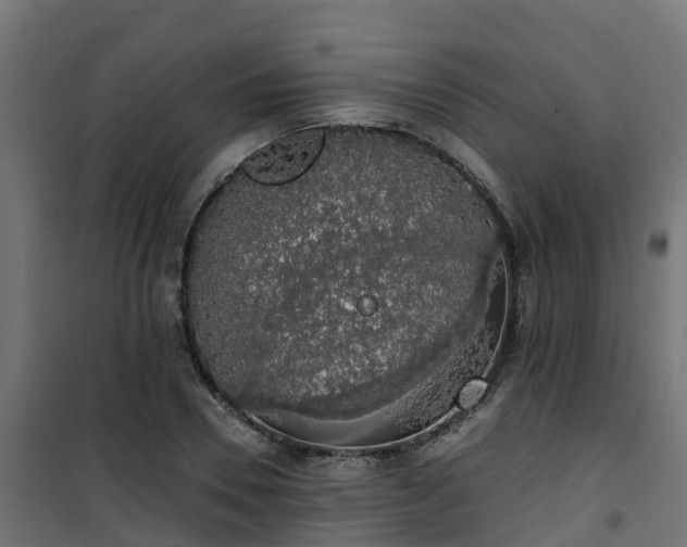 X0000101400930200807141153