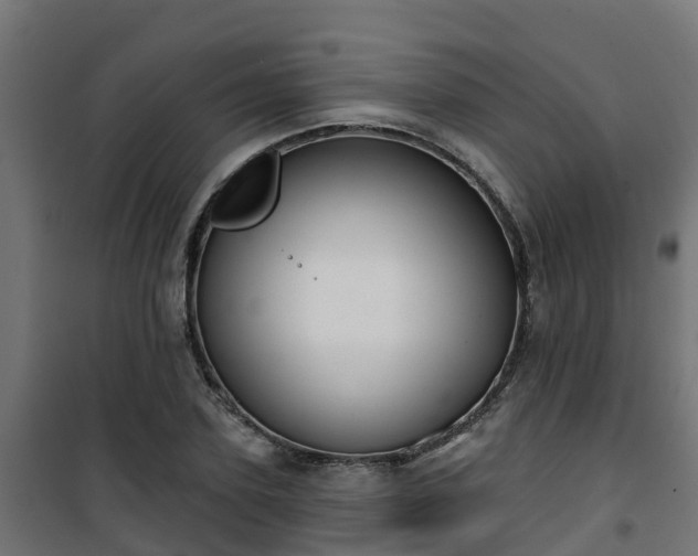 X0000101400931200807141153