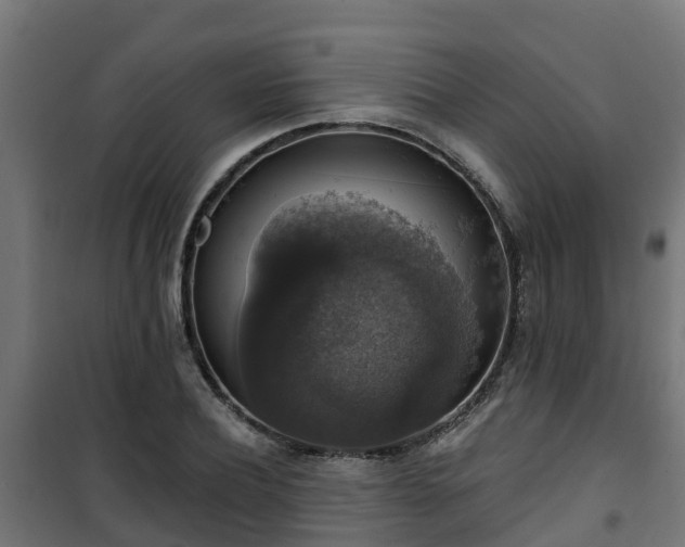 X0000101400932200807141153