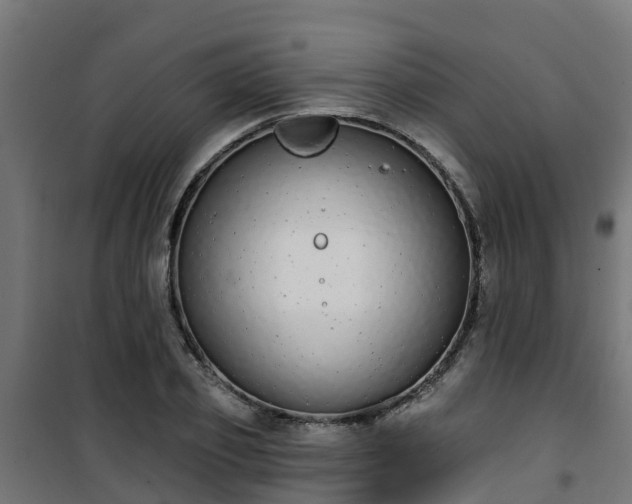 X0000101400933200807141153