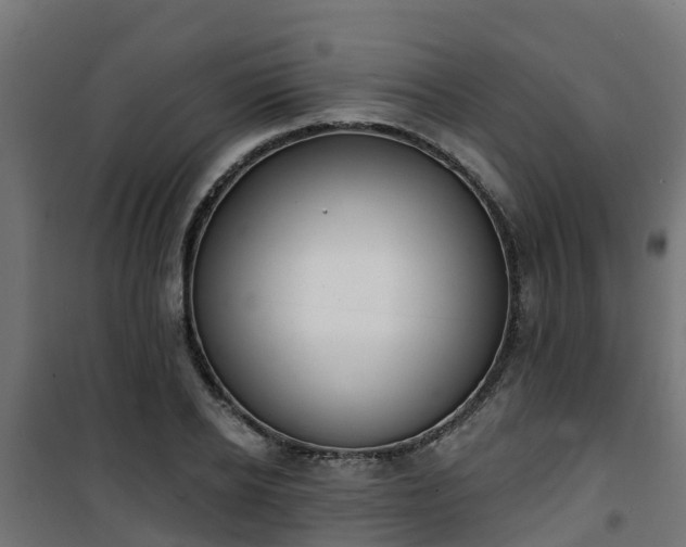 X0000101400934200807141153