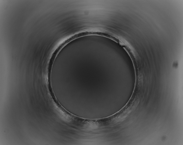 X0000101400935200807141153