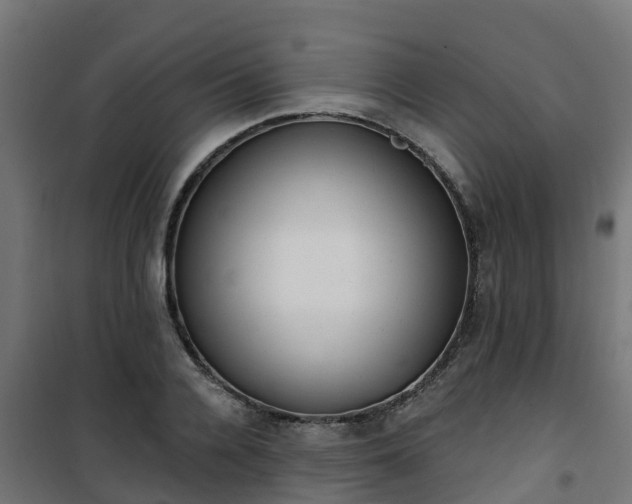 X0000101400936200807141153