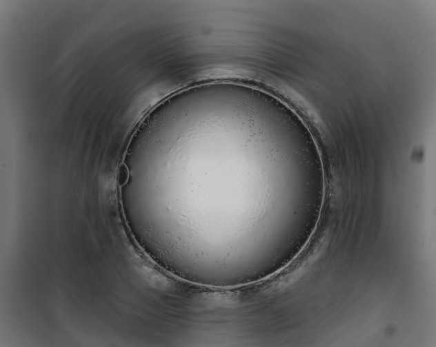 X0000101400937200807141153