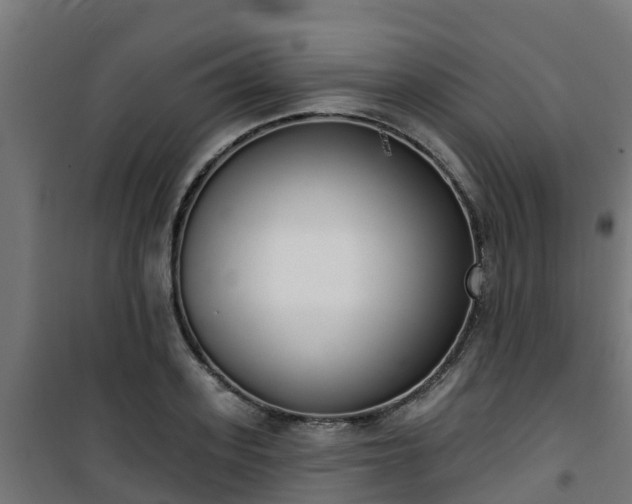 X0000101400939200807141153