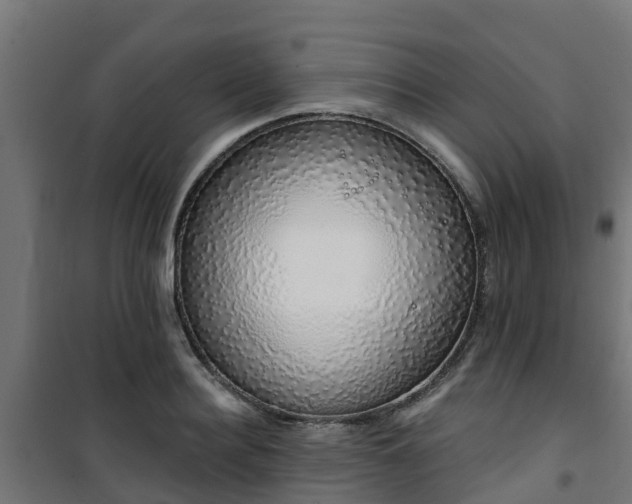 X0000101400940200807141153