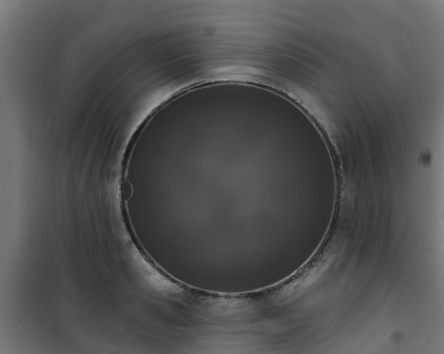 X0000101400941200807141153