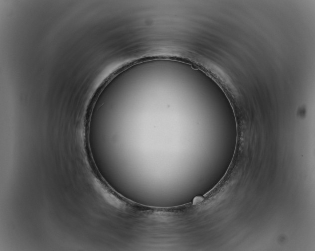 X0000101400942200807141153