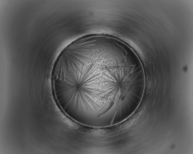 X0000101400943200807141153