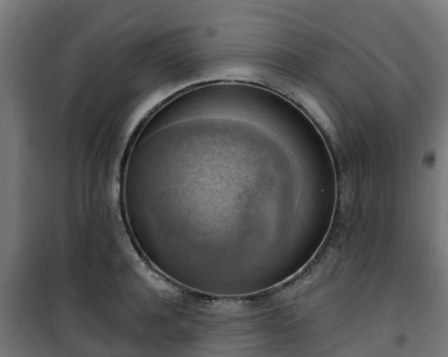 X0000101400944200807141153