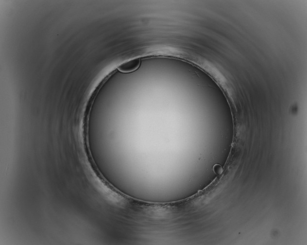 X0000101400947200807141153