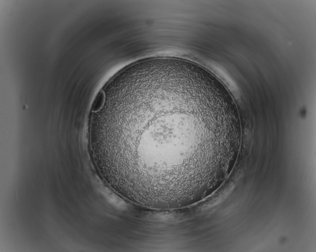 X0000101400948200807141153