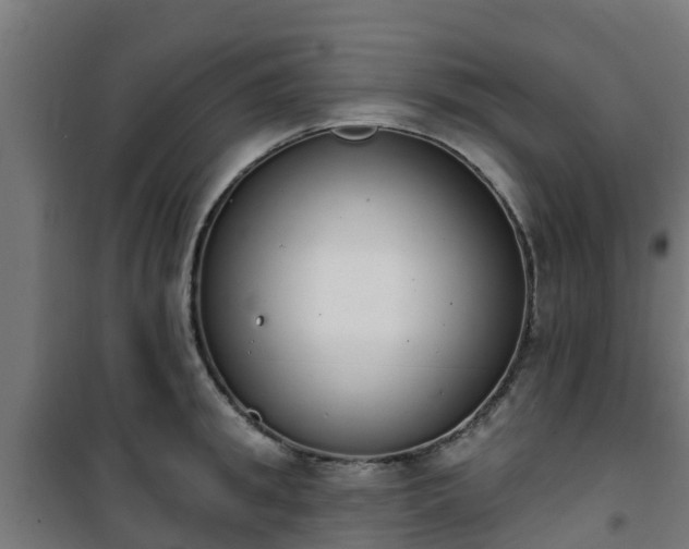 X0000101400949200807141153