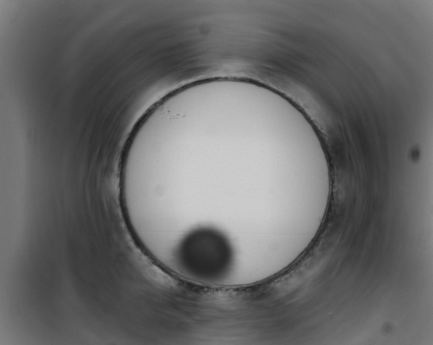 X0000101400950200807141154