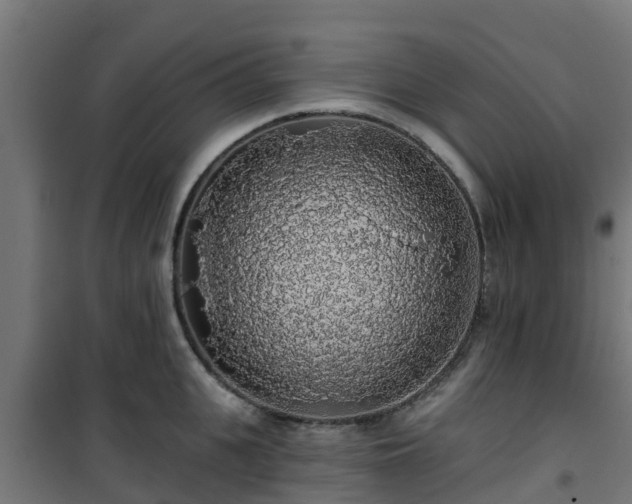 X0000101400951200807141154