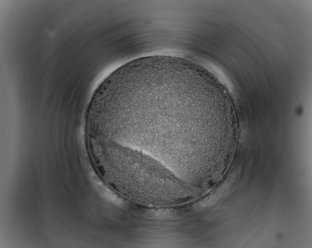 X0000101400952200807141154