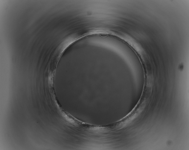 X0000101400953200807141154