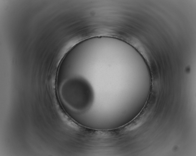 X0000101400954200807141154