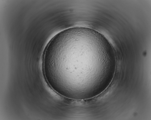 X0000101400955200807141154