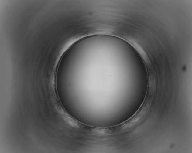 X0000101400956200807141154