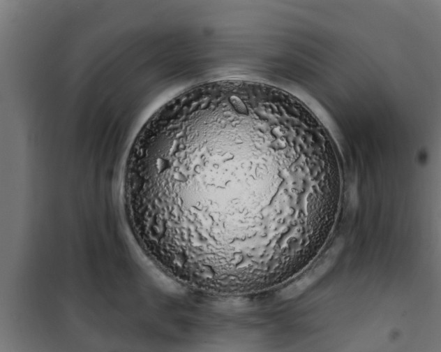 X0000101400957200807141154