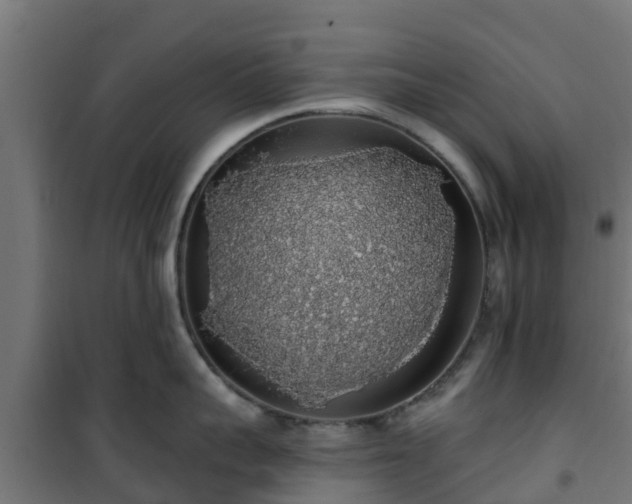 X0000101400959200807141154