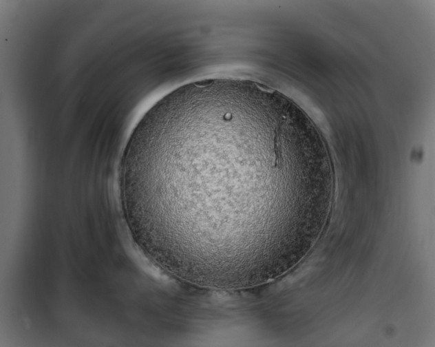 X0000101400960200807141154