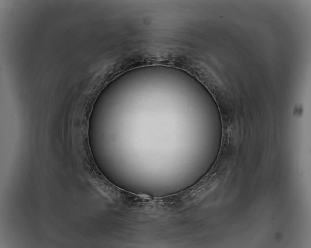 X0000101400961200807141153