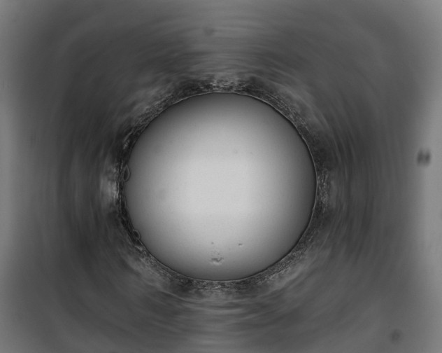 X0000101400962200807141153