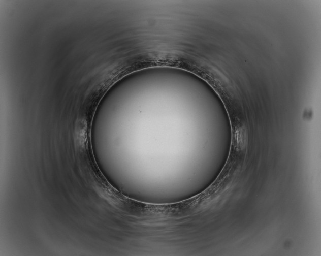 X0000101400963200807141153