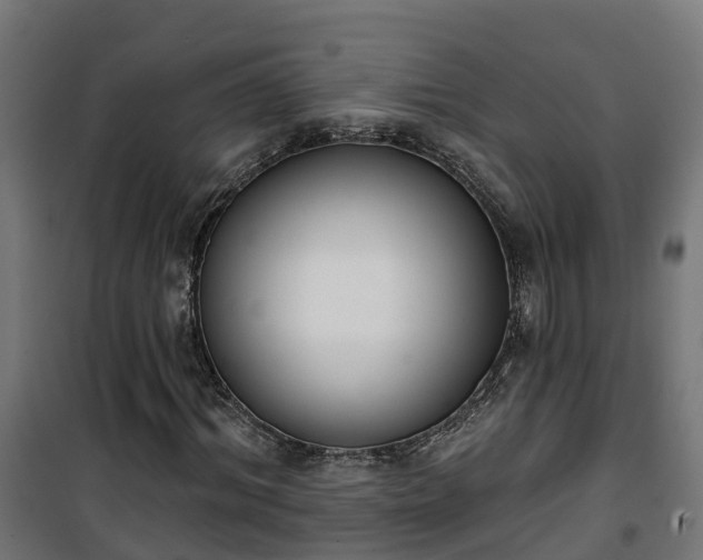 X0000101400964200807141153