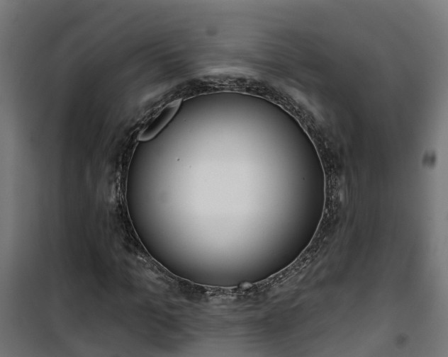 X0000101400965200807141153