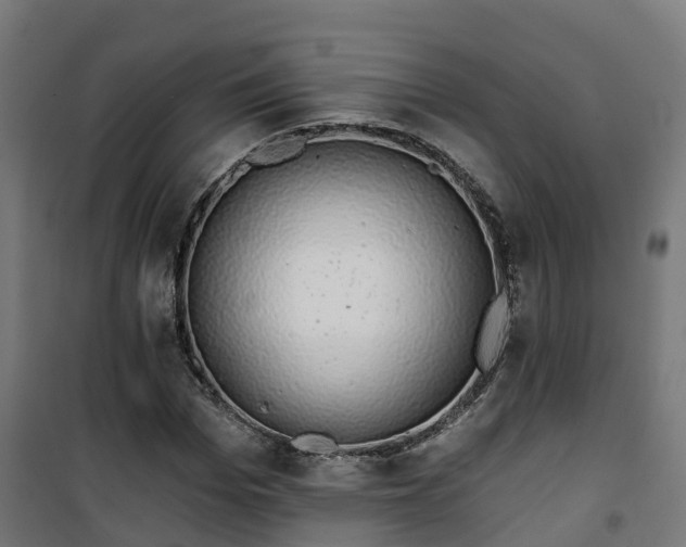 X0000101400969200807141153