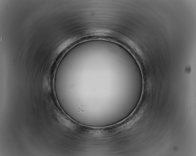 X0000101400970200807141153