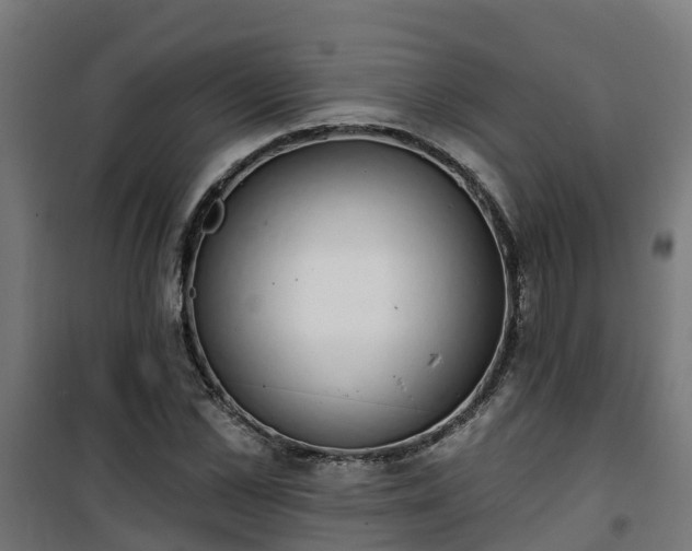 X0000101400973200807141153