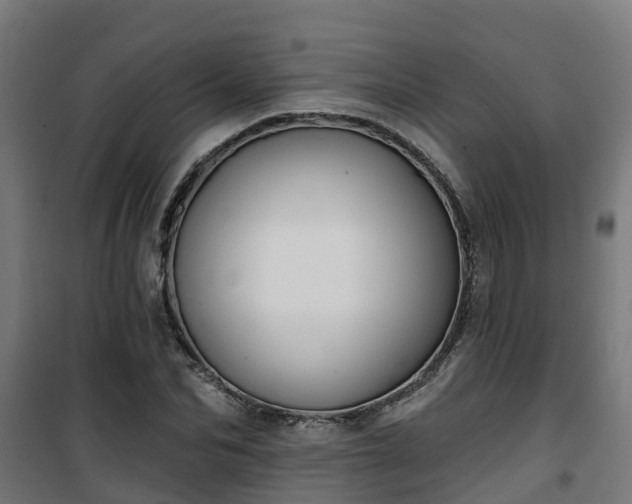 X0000101400974200807141153