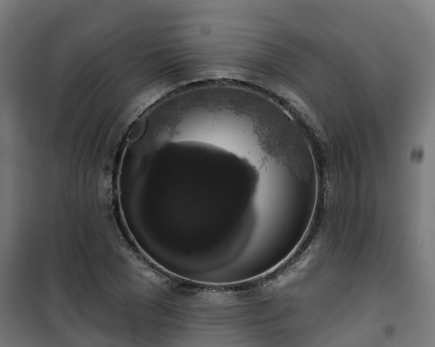 X0000101400977200807141153