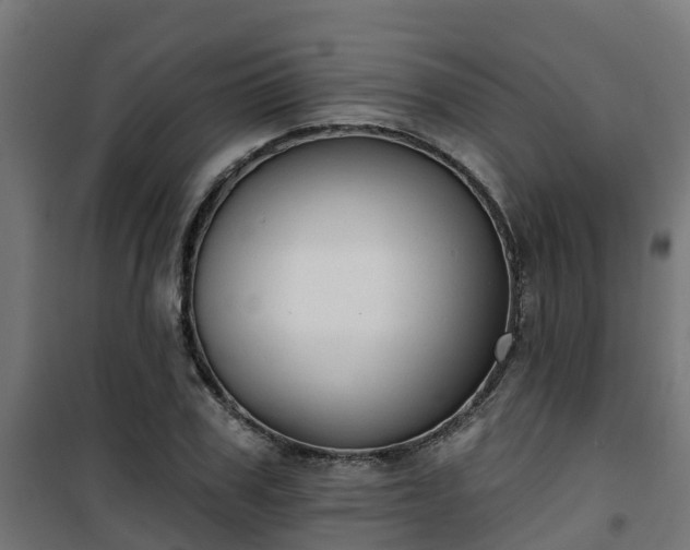 X0000101400979200807141153