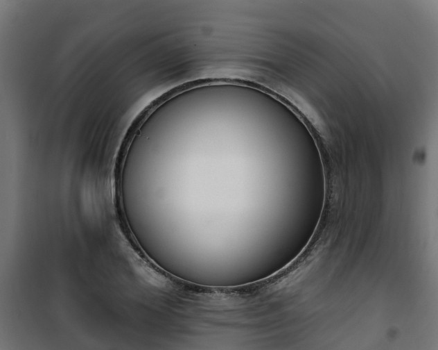 X0000101400980200807141153