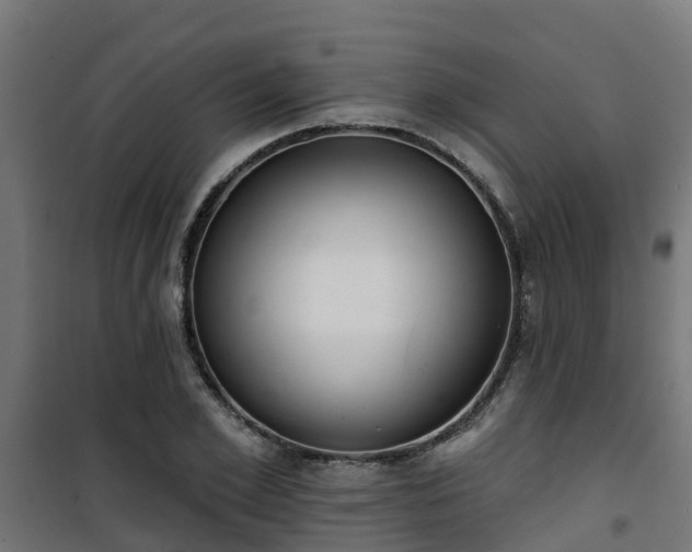 X0000101400981200807141153