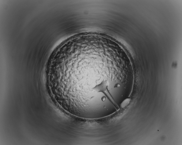 X0000101400983200807141152