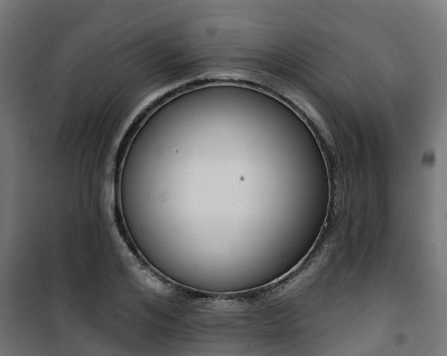 X0000101400984200807141152