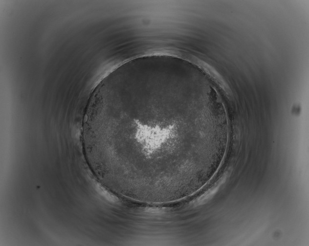 X0000101400985200807141152