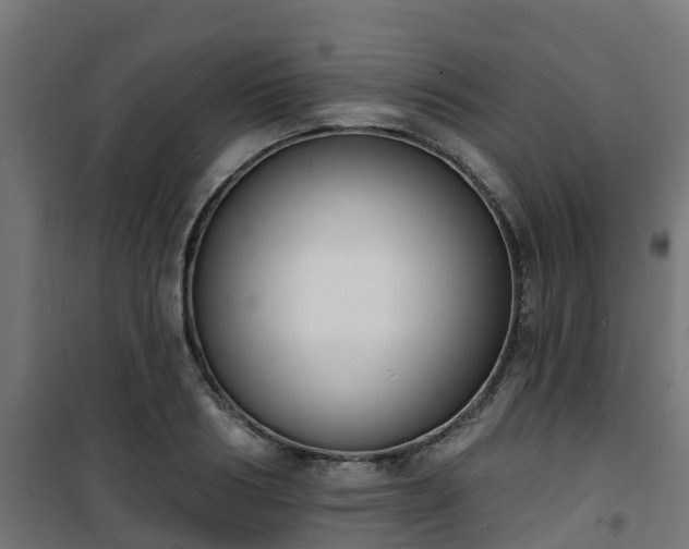 X0000101400986200807141152